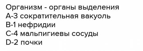 5.Установите соответствие Орган выделенияОрганизмы1.метанефридииА. насекомые2.мальпигиевы сосудыВ. к