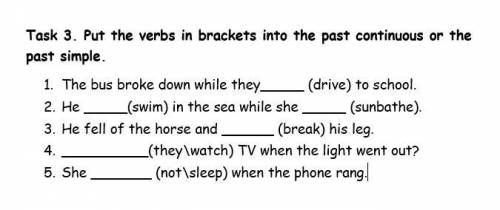 Put the verbs in brackets into the past continuous or the past simple.