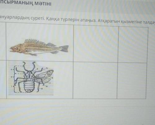 Жануарлардың суреті. Қаңқа түрлерін атаңыз. Атқаратын қызметіне талдау жасаңыз даю​ пд