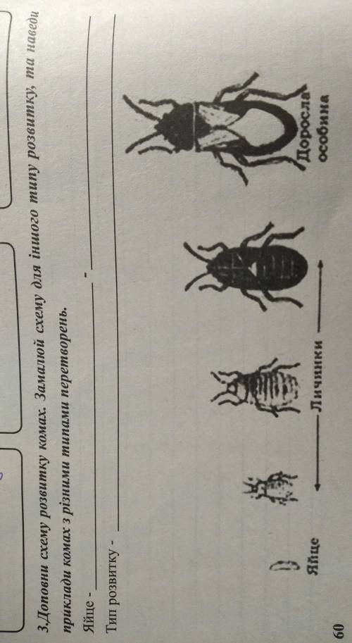 3. Доповни схему розвитку комах. Замалюй схему для іншого типу розвитку, та наведи приклади комах з