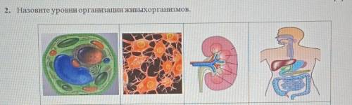 НУЖНЫ ОТВЕТЫ Назовите уровни организации живыхорганизмов.​