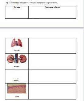 Запишите продукты обмена веществ в организме. ​Легкие почкипечень кожа