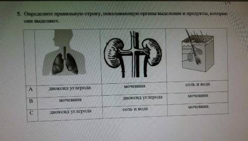 я умираю,если не отправлю тогда мне канец от училки​