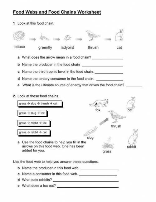 1)Draw this table in your copybook and send a photo of it to me after answering 2)Fill the worksheet