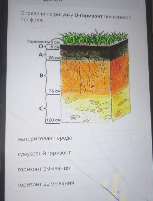 Определи по рисунку 0-горизонт почвенного профиля:Горизонты 0 см5 CMоA А25 смB75 см2.120 смS.материк