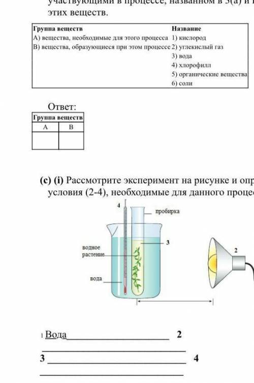 Рассмотрите эксперемент на рисунке и определите условия(2-4)необходимые для данного процесса​