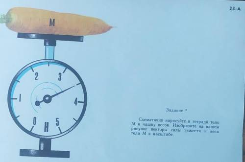 ОТ ТОЛЬКО НАПИШИТЕ ОТВЕТ.(ПОДРОБНО)​