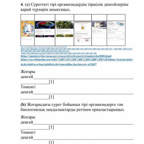 4. (a) Суреттегі тірі организмдердің тіршілік денгейлеріне қарай түрлерін анықтаңыз. Жоғары денгей[1