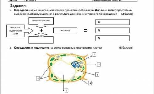 Соч по естествознанию сделайте эти 2 задание ​