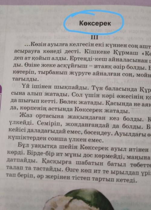 Көксерек иесі Құрмаштың асырауына неге көнбеді деп ойлайсыз? Ойыңызды дәлелдеп жазыңыз 4-5 сөйлеммен