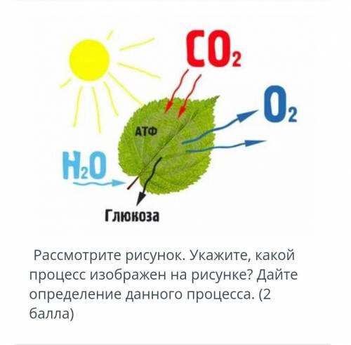 Расмотрите рисунок. Укажите какой процесс изображён на рисунке? Дайте определение данного процесса.