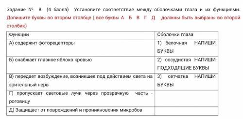 Установите соответствие между оболочками глаза и их функциями. Допишите буквы во втором столбце ( вс