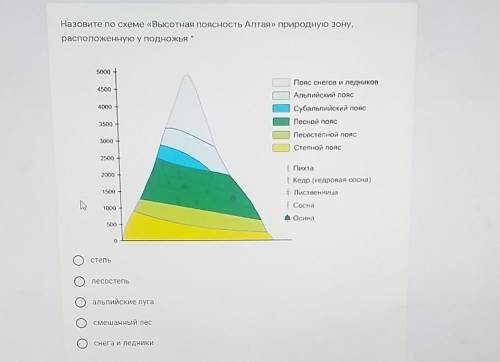 Назовите по схеме «Высотная поясность Алтая» природную зону,расположенную у подножья​