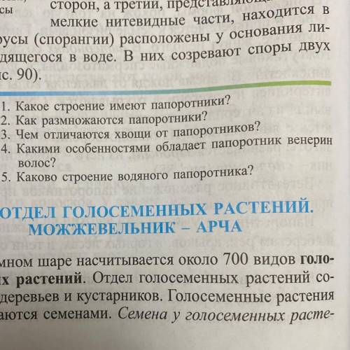 1. Какое строение имеют папоротники? 2. Как размножаются папоротники? 3. Чем отличаются хвощи от пап