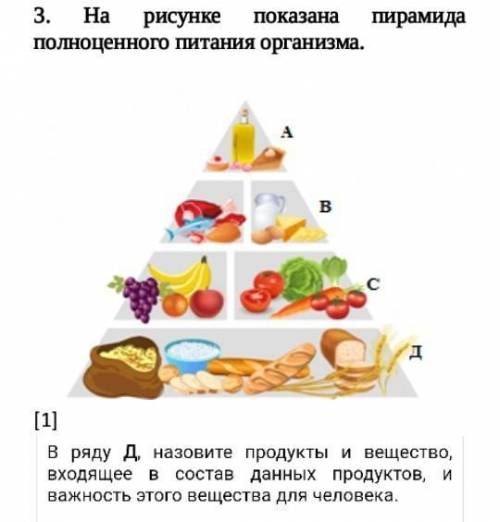 3. На рисунке показана пирамида полноценного питания организма.                                     