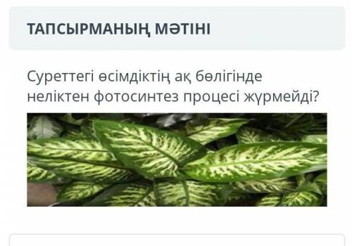 Жарытылыс тану комектесин деш тезз ​