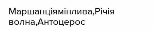 До сланевих мохів належить​