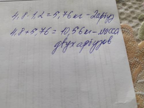 Маса одного кавуна дорівнює 4,8 кг, а другого - у 1,2 рази більша. ЯкаМаса двох кавунів?​