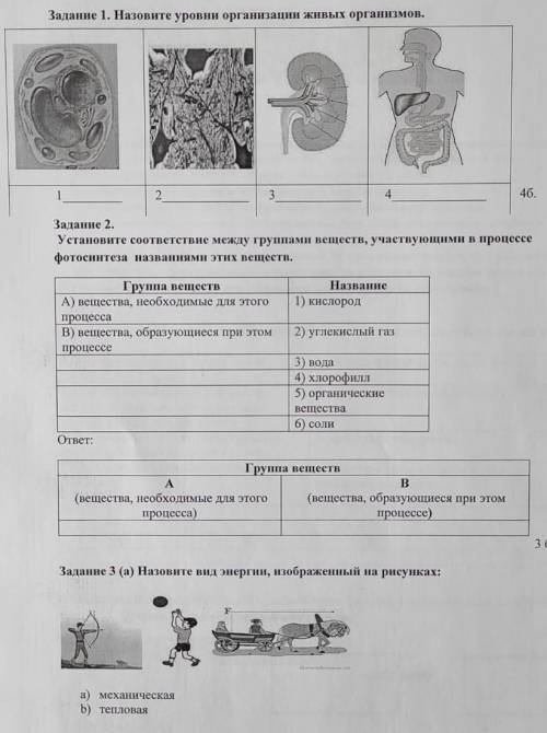 соч по естесвознание ответьте на все вопросы​