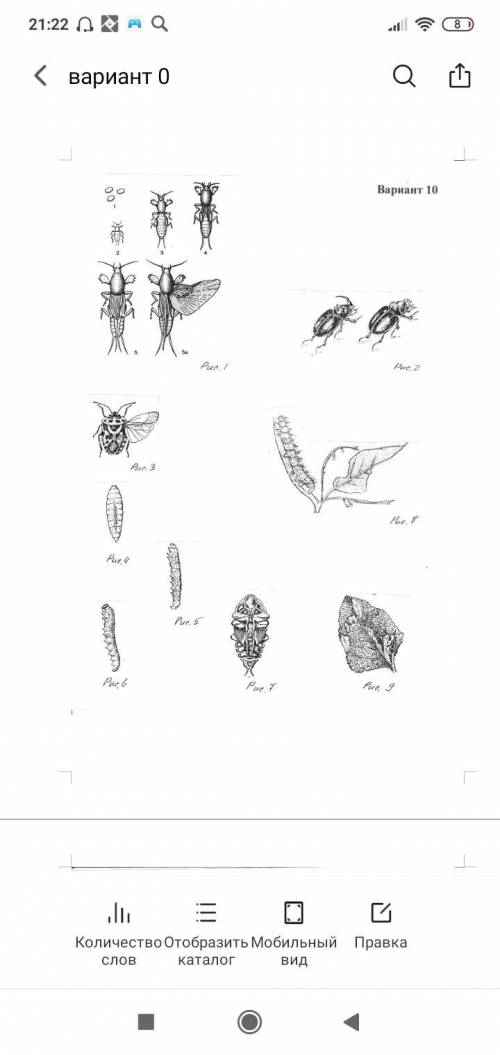 с тестом по биологии Тест по рисункам