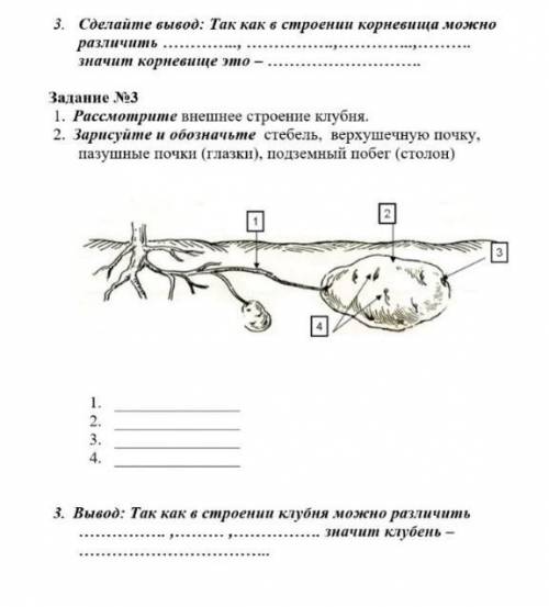 Help me :< лабораторная работа. :>​