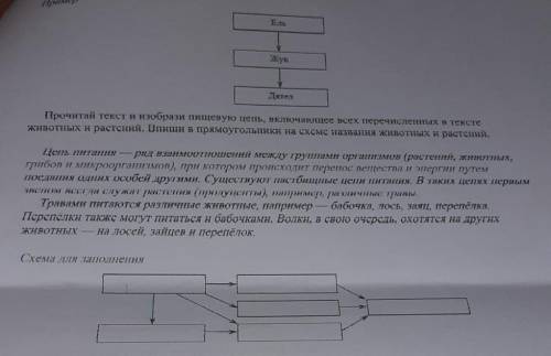 Прочитай текст и изобрази пищевую цепь, включающее всех перечисленных в тексте животных и растений.