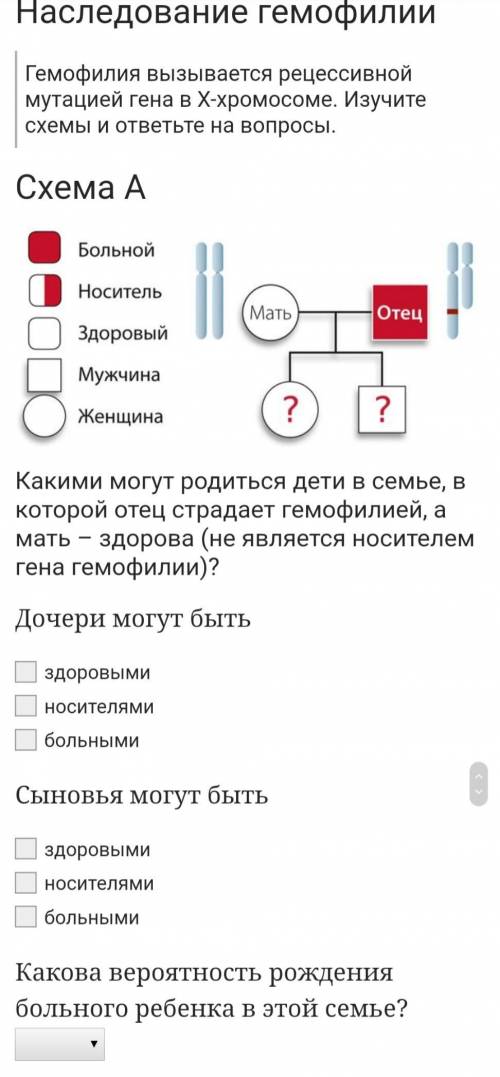 Выбрать правильные ответы. Вероятности - 0%, 25%, 50%, 75% или 100%