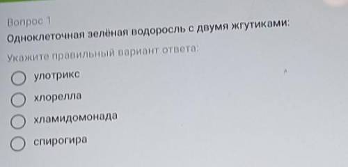 214 Вопрос 1Одноклеточная зелёная водоросль с двумя жгутиками:Укажите правильный вариант ответа:Оуло