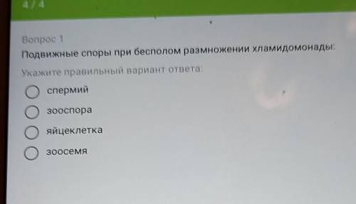 Вопрос 1 Подвижные споры при бесполом размножении хламидомонады:Укажите правильный вариант ответа:сп