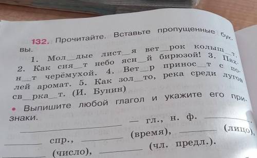 132. Прочитайте. Вставьте пропущенные бук вы. 1. Молодые 2. Как снят лист 37 небо ясн рок it бирюзой