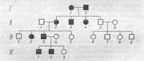 На рисунке изображена родословная семьи с признаком седой пряди волос. Определите тип наследования э