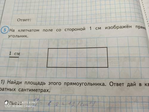 На клетчатом поле со стороной 1 см изображён прямоугольник. Проведи на рисунке выше прямую линию так