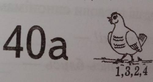 А. А. 40а. (курица) ґа. со. 1,3,2,4 ребус решить (на укр) это по природе ​