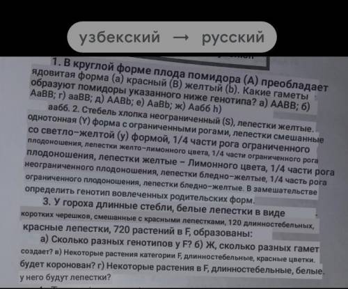 Найти ответы на вопросы дидурагайской путаницы​