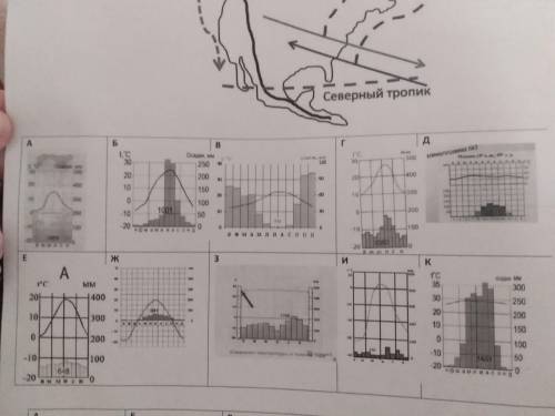 Нужно подписать климатограммы по типу климата Северной Америки