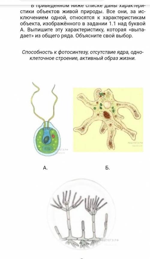 В при­ведённом ниже спис­ке даны ха­рак­те­ри­сти­ки объ­ек­тов живой при­ро­ды. Все они, за ис­клю­