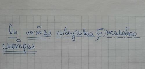 Ребят синтаксический разбор сделать: Он лежал повизгивая, и жалобно смотрел