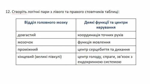 . Анатомічно нервову систему поділяють на (1) та (2). До складу першої входять (3) та (4) мозок.