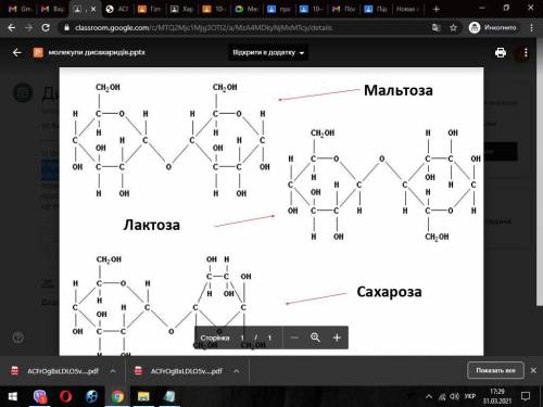 з прикріпленого слайду знайти основні відмінності у будові молекул сахарози, лактози та мальтози,