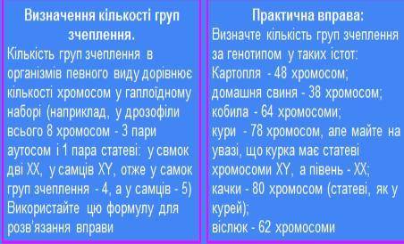 До іть розв'язати задачу по біології!