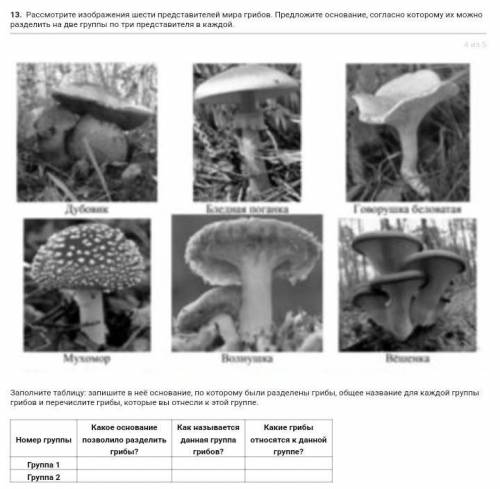 Рассмотрите изображения шести представителей мира грибов. Предложите основание, согласно которому их
