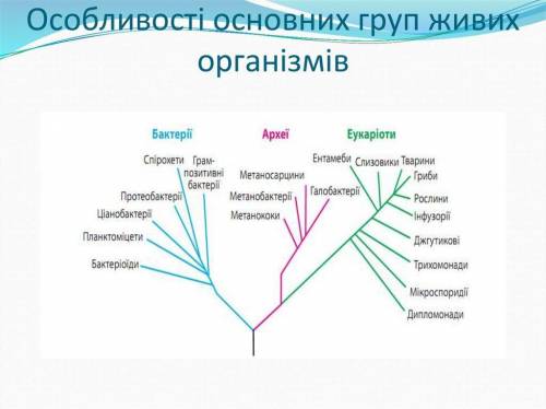 скласти філогенетичне дерево для будь-якої групи організмів