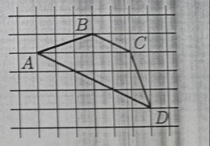 на клетчатой бумаге с размером клетки 1×1 изображенна трапеция ABCD. во сколько раз основание AD бол