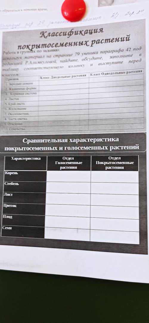 Сравнительная характеристика покрытосеменных и голосеменных растений. Схему что ниже)