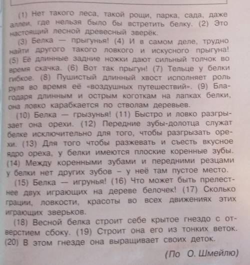 Найди в тексте о белке по два примера на заданные орфограммы. Заполни таблицу. :разделительный мягки