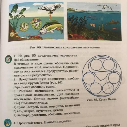 На рис.85 представлена экосистема.Дай ей название. В тетради в виде схемы обозначь связь компонентов