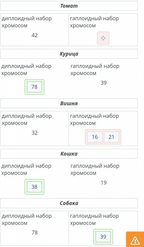 Заполни таблицу, правильно указав гаплоидный и диплоидный наборы хромосом в клетках организмов. Тома