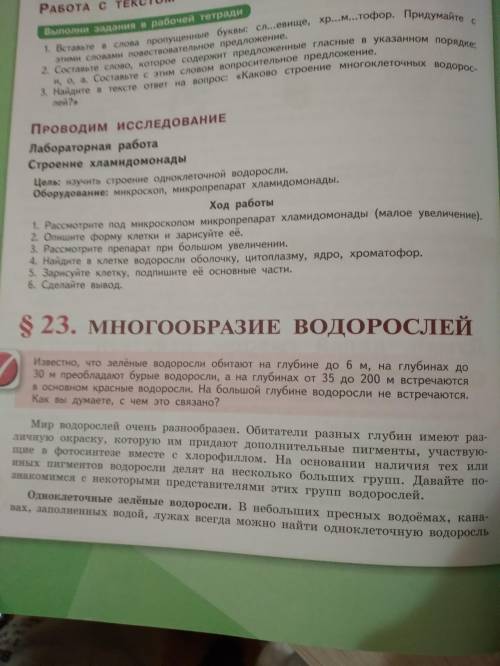 Параграф 23 сделайте таблицу страница 114-116 Биология 5 класс