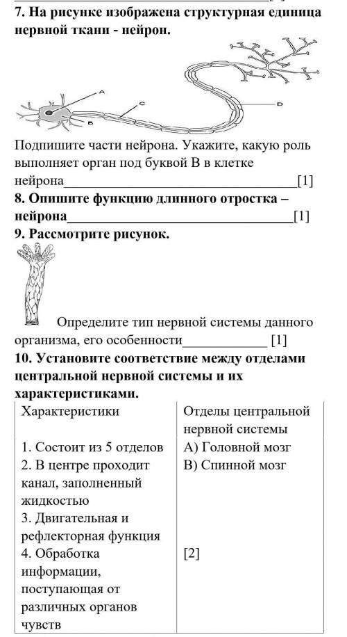 На рисунке изображена структурная единица нервной ткани - нейрон 8 , 9 и 10 тоже сделайте , буду бла