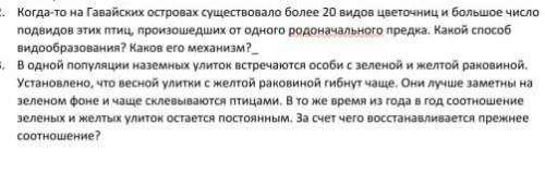 , ответьте на эти два вопроса, про птиц и улиток, ​